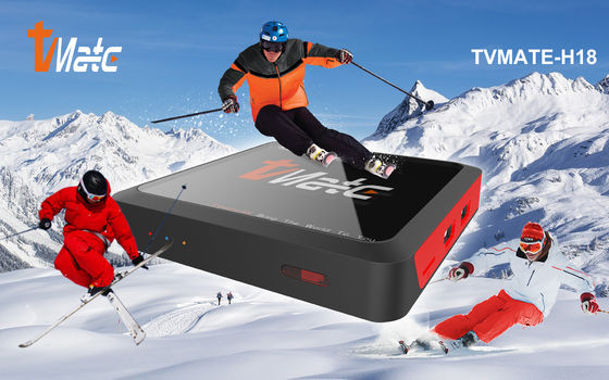 Widevine L1 Android 10.0 TV BOX Allwinner H313 কাস্টমাইজড OTT Android TV বক্স